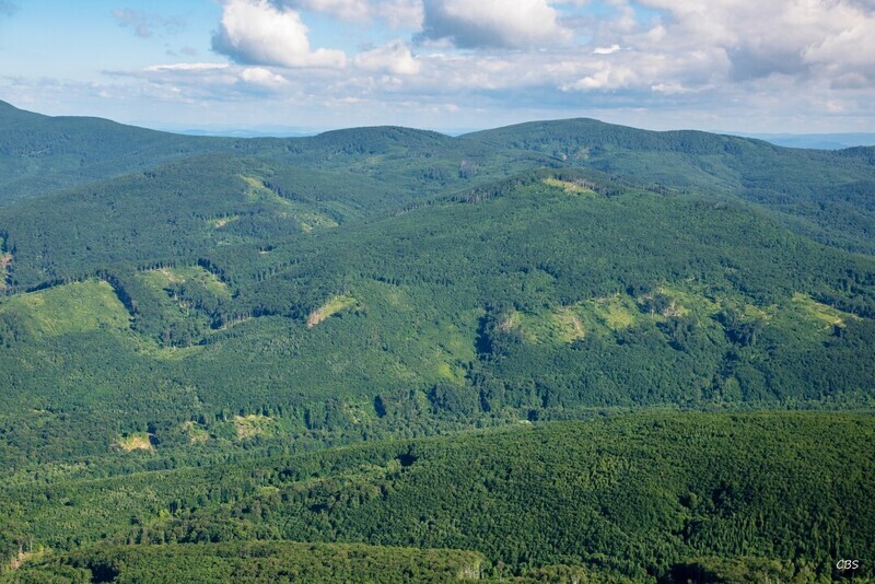 Remetske-Hamre-2016-22