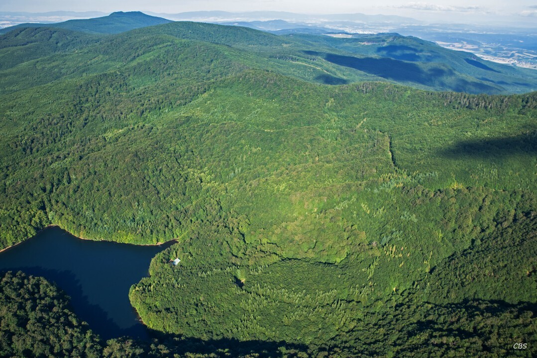 Remetske-Hamre-2016-18