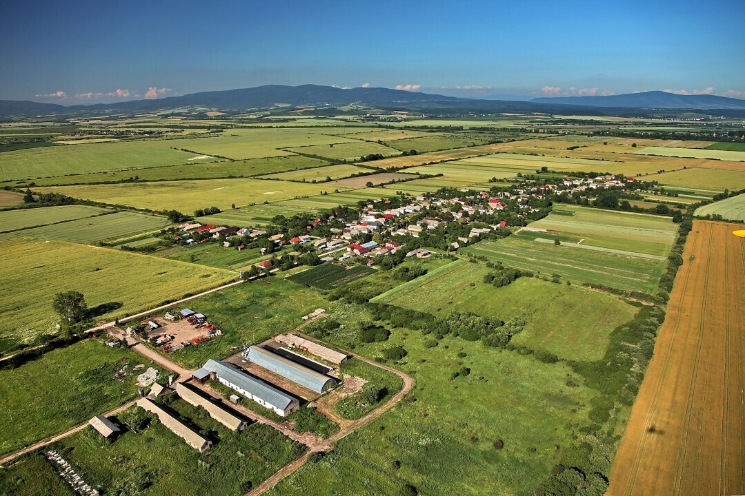 Tasula-2012-4