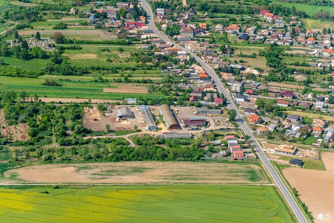 Panicke-Dravce-2020-12