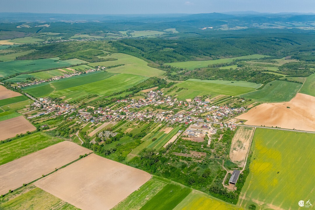 Panicke-Dravce-2020-4