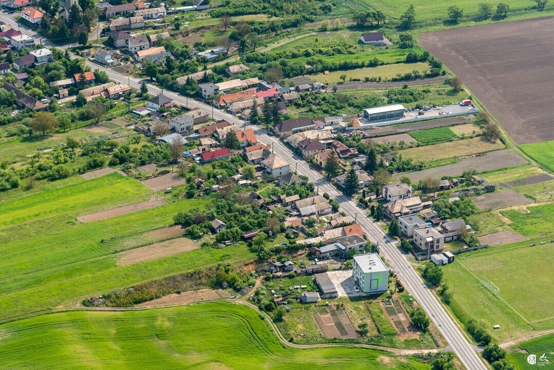 Panicke-Dravce-2020-1