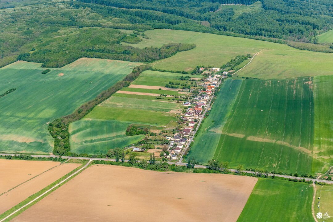 Panicke-Dravce-2020-8