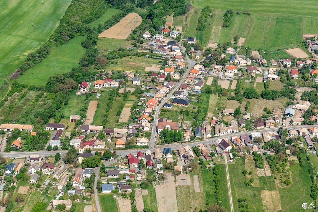 Panicke-Dravce-2020-7