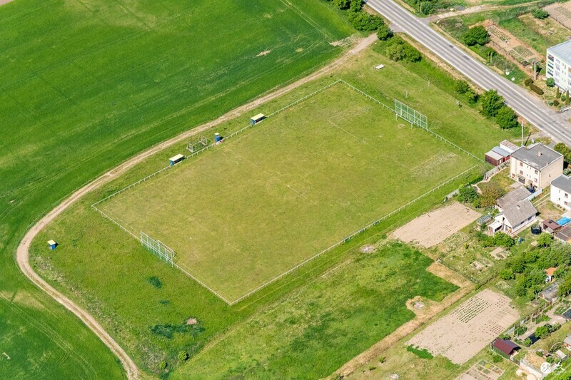 Panicke-Dravce-2020-13