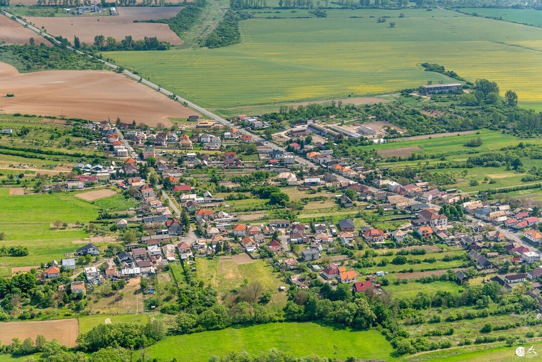 Panicke-Dravce-2020-3