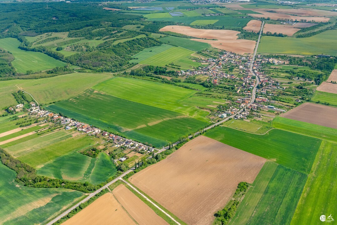 Panicke-Dravce-2020-9