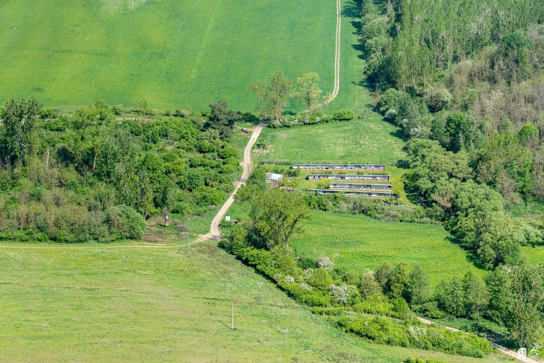 Panicke-Dravce-2020-18