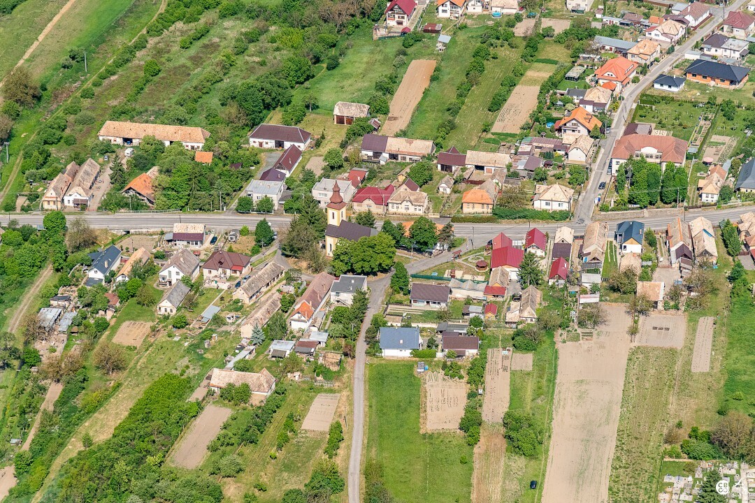 Panicke-Dravce-2020-6