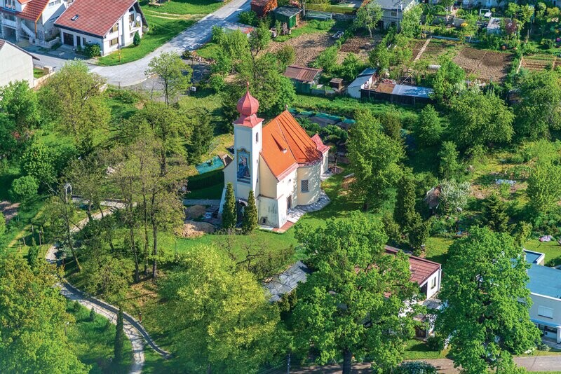 Vidina_CBS_2018_Paprcka_Nather_DSC_8477-mj