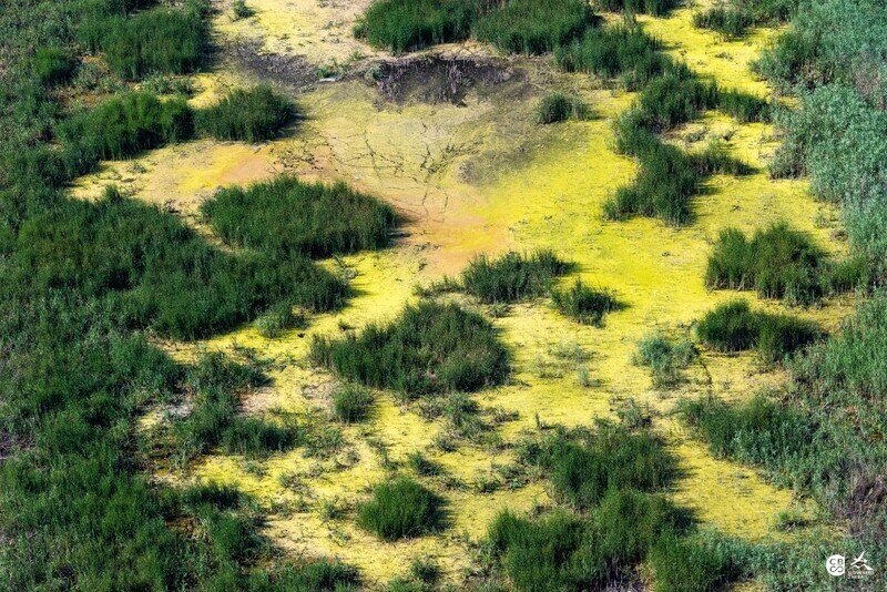 Streda-nad-Bodrogom-2019-18