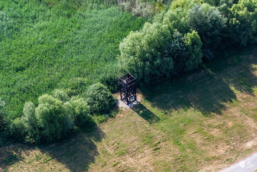 Streda-nad-Bodrogom-2019-17