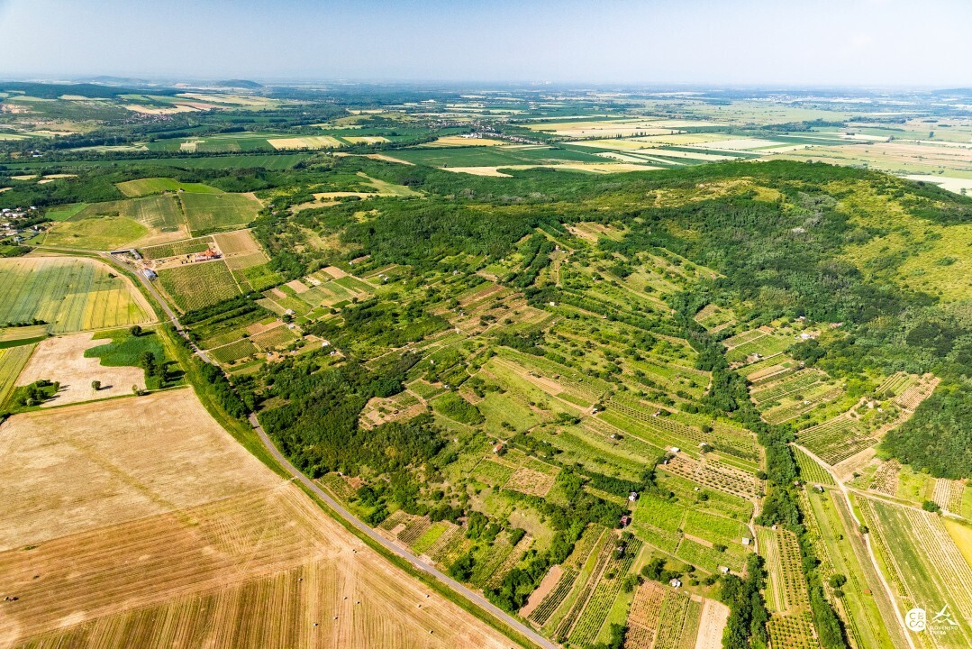 Streda-nad-Bodrogom-2019-8