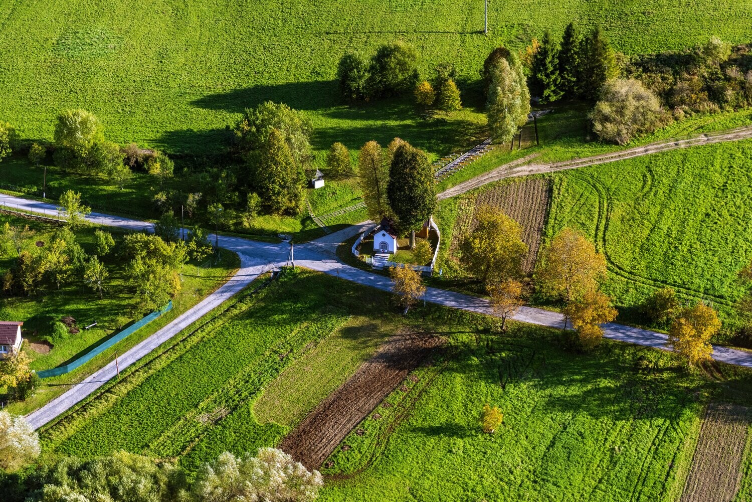 Vysoka_CBS_2019_DSC_3318