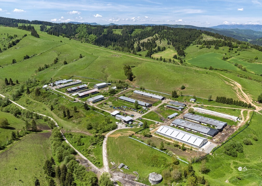 Cierny-Balog-2019-34