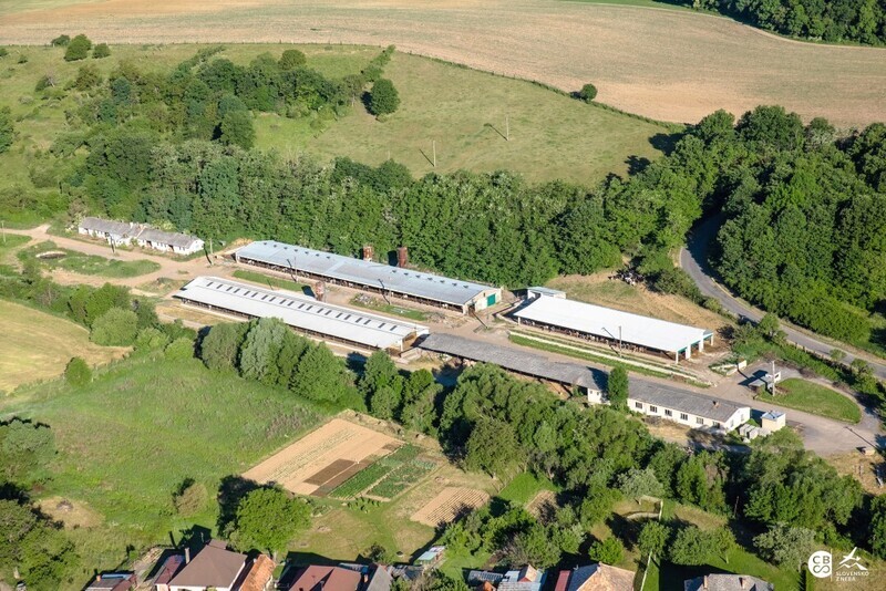 Kozi-Vrbovok-2017-20