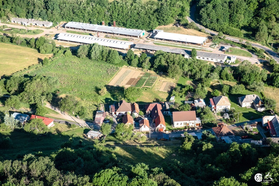 Kozi-Vrbovok-2017-22