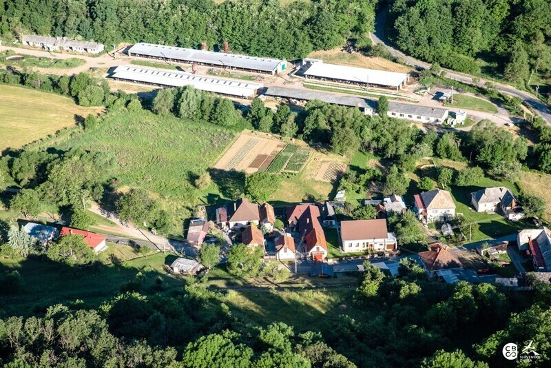 Kozi-Vrbovok-2017-22