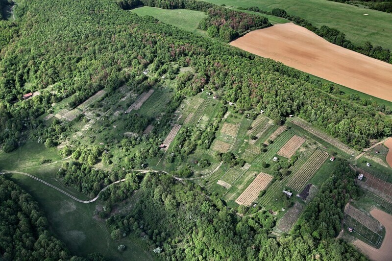 Hontianske-Nemce-2012-6