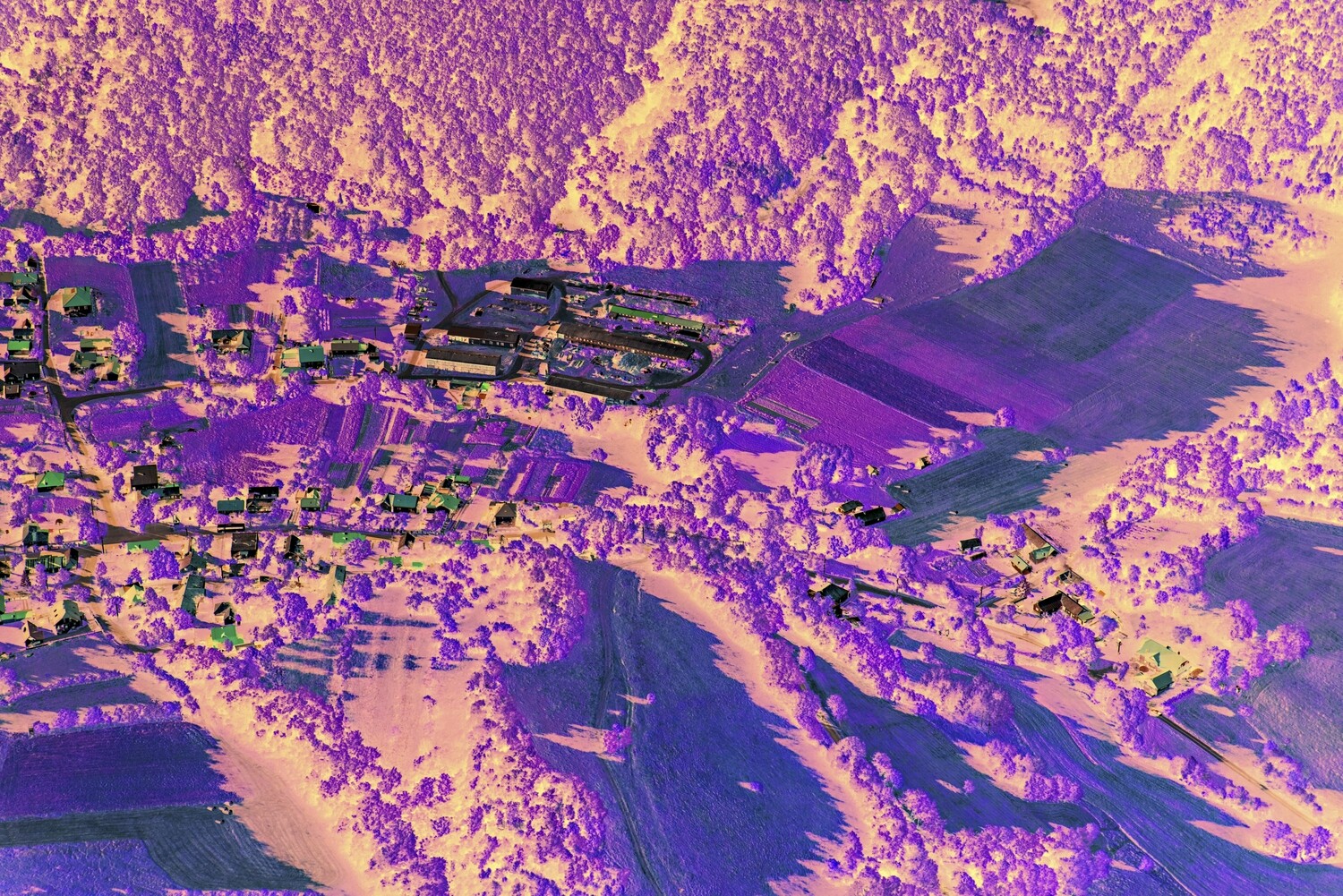 Siatorska-Bukovinka-2017-8