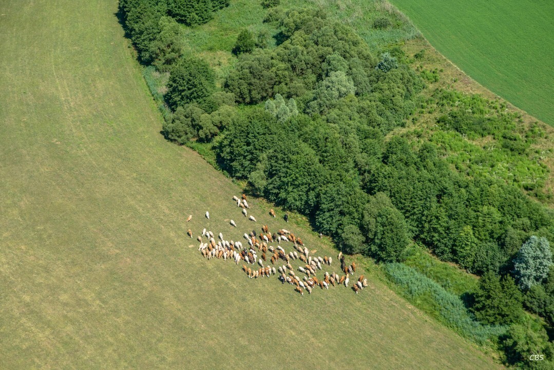 Gemerske-Michalovce-2016-25