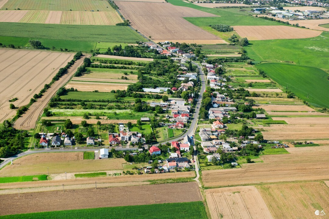 Kozuchov-2017-5