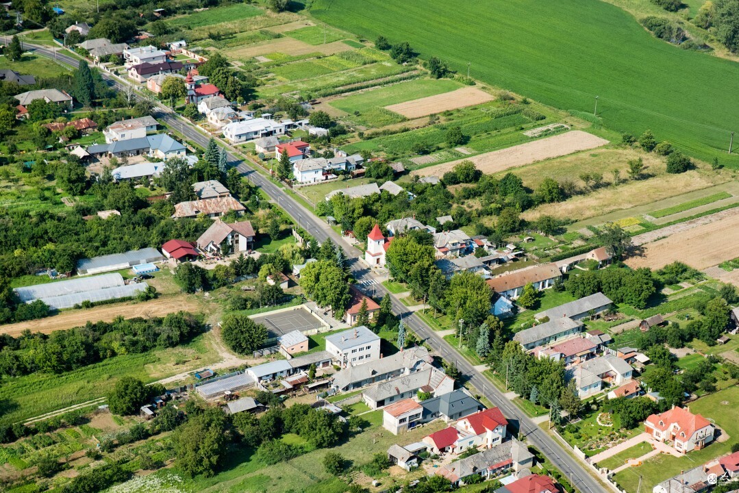 Kozuchov-2017-7