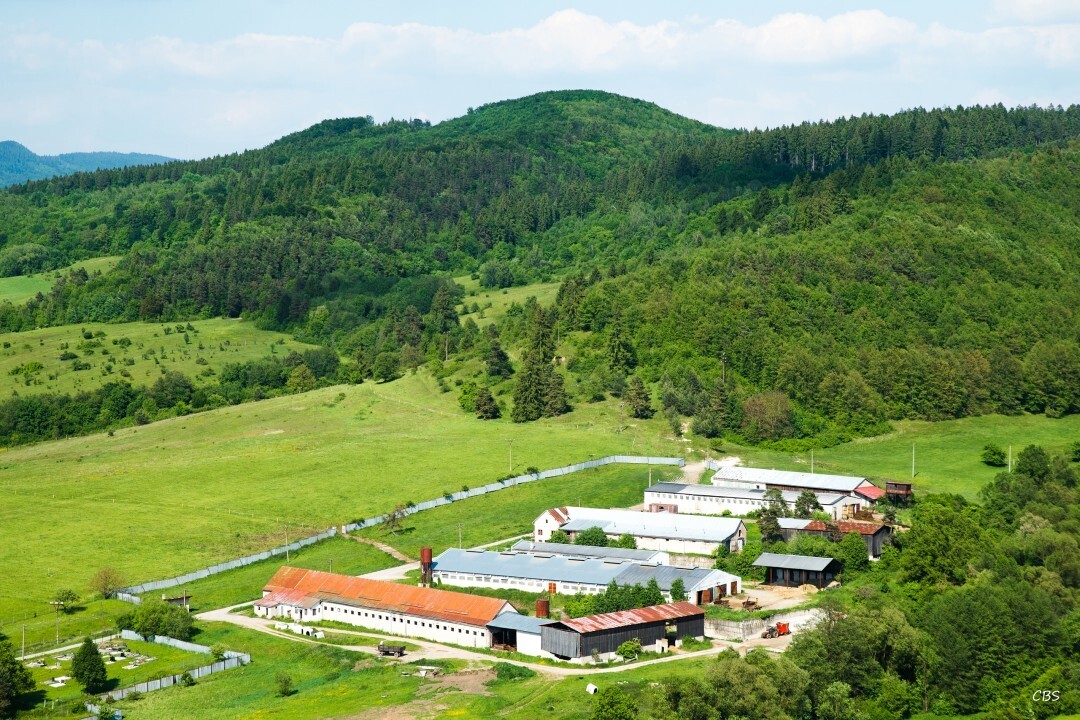 Sebedin-Becov-2016-18