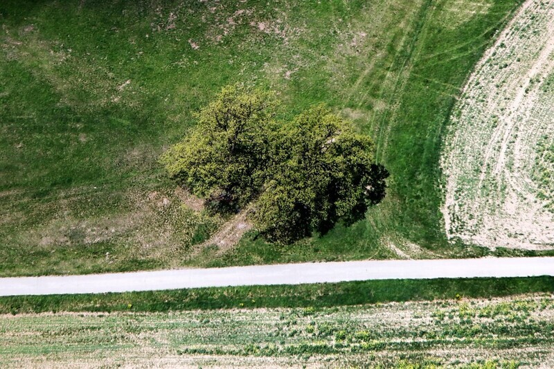 Sebedin-Becov-2012-10