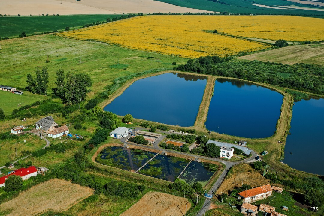 Uzovska-Panica-2016-28