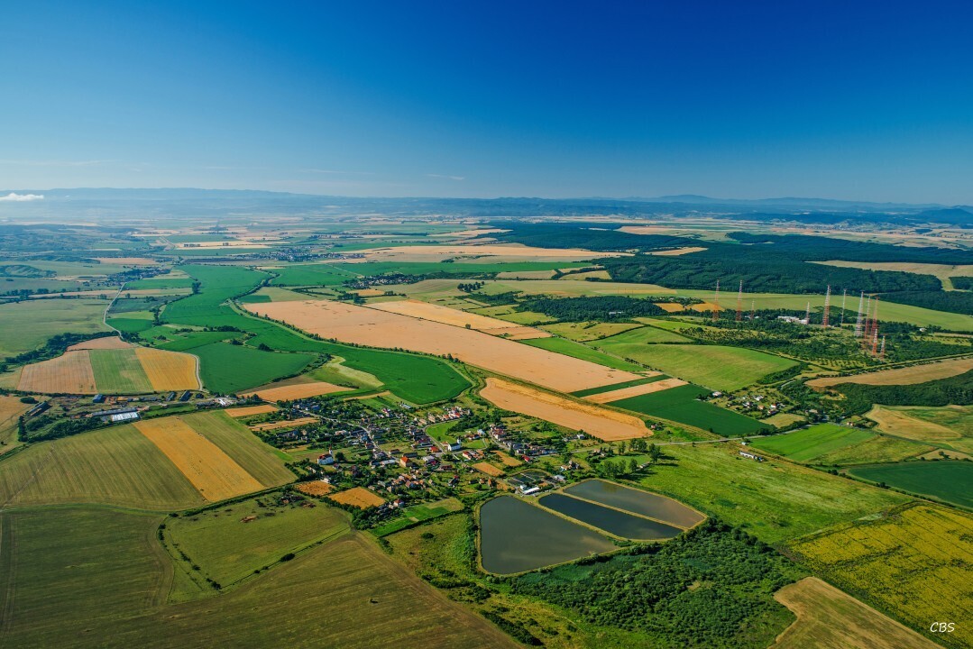 Uzovska-Panica-2016-1