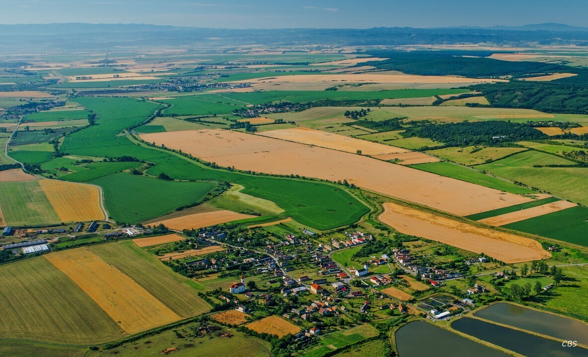 Uzovska-Panica-2016-2