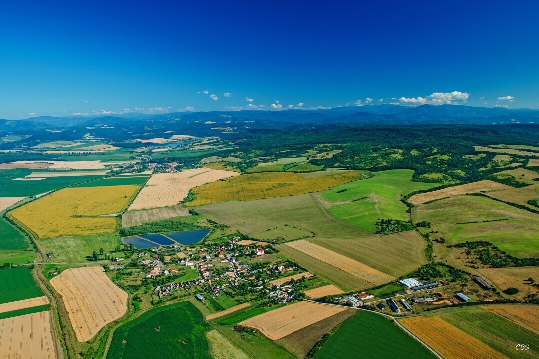 Uzovska-Panica-2016-10