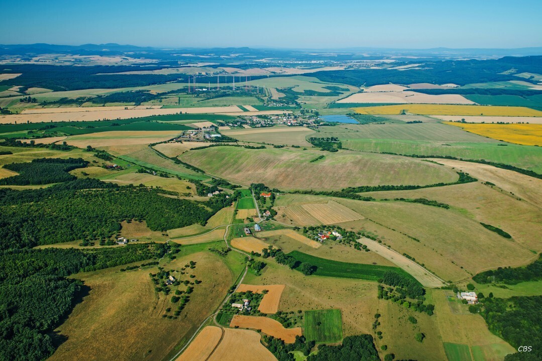 Uzovska-Panica-2016-5