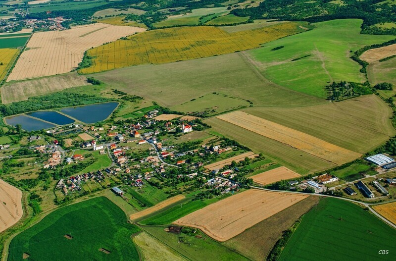 Uzovska-Panica-2016-11