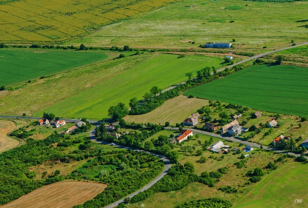 Uzovska-Panica-2016-13