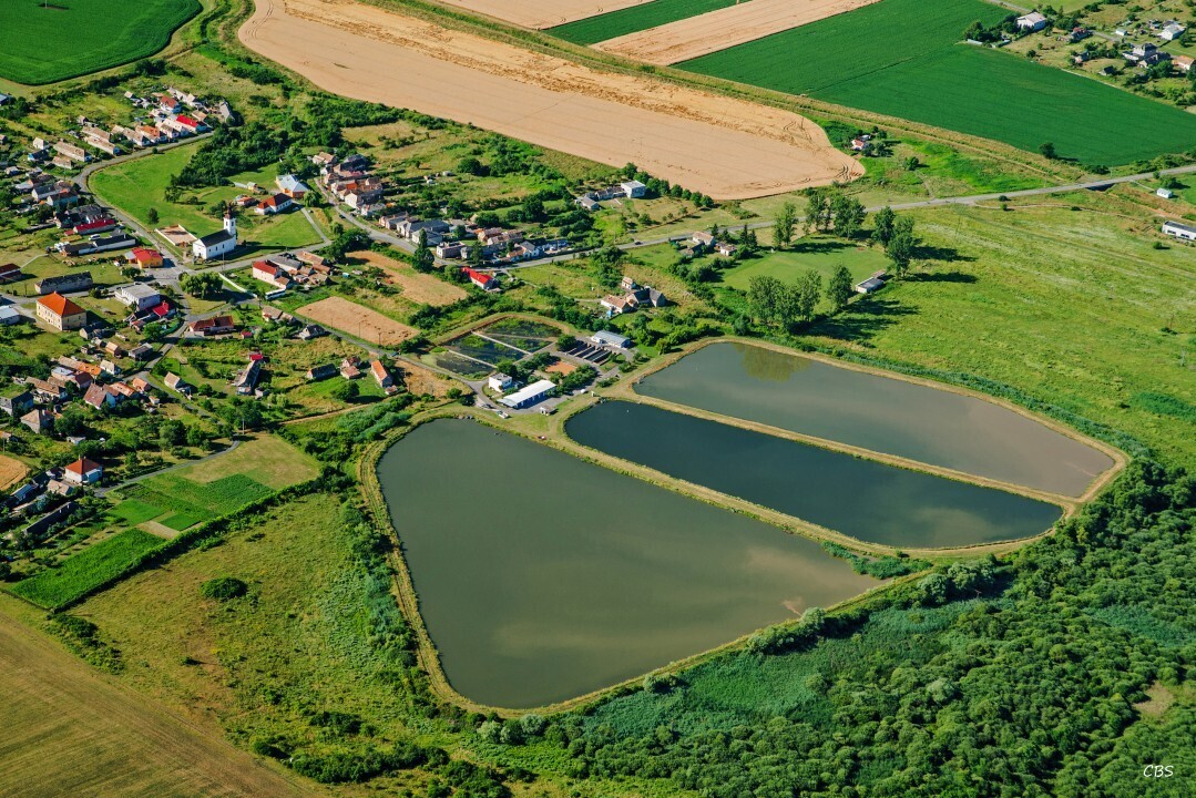 Uzovska-Panica-2016-3