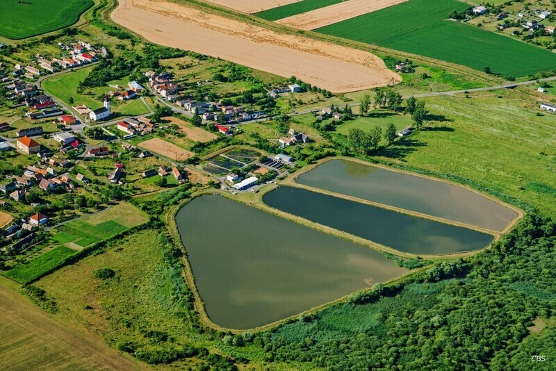 Uzovska-Panica-2016-3