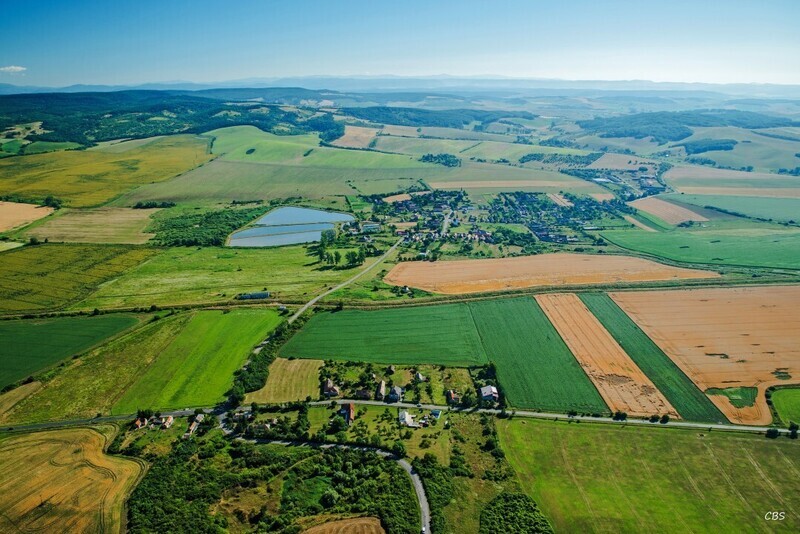 Uzovska-Panica-2016-14