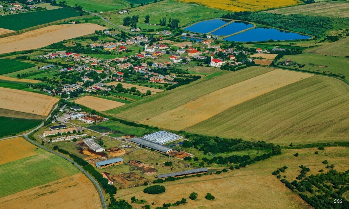 Uzovska-Panica-2016-6