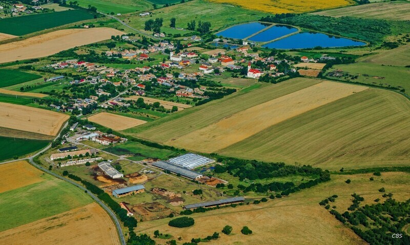 Uzovska-Panica-2016-6