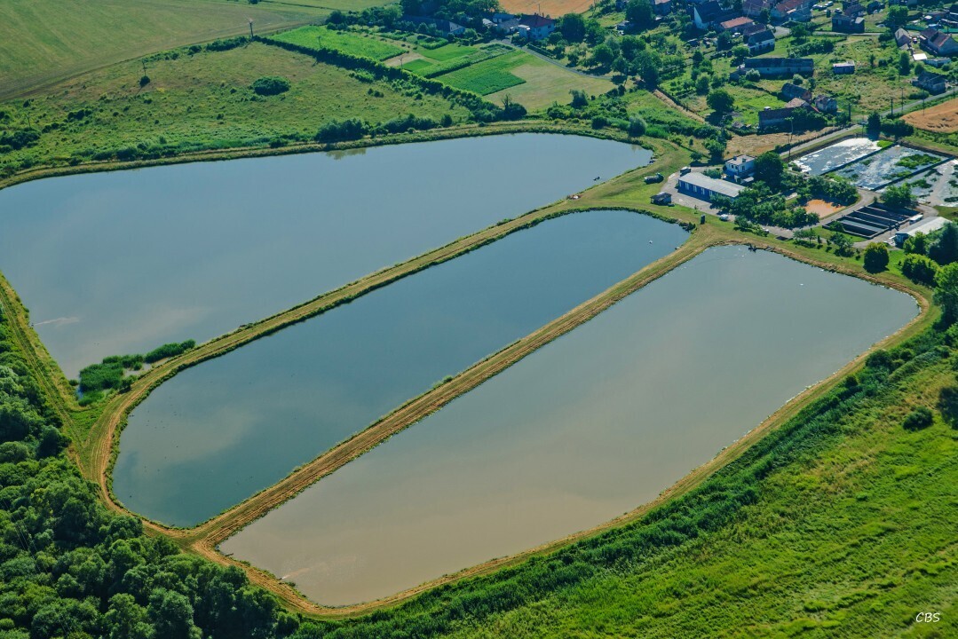 Uzovska-Panica-2016-15