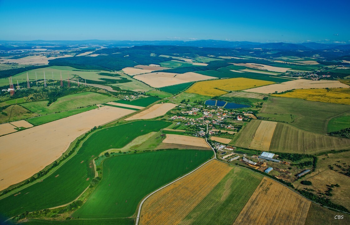 Uzovska-Panica-2016-8