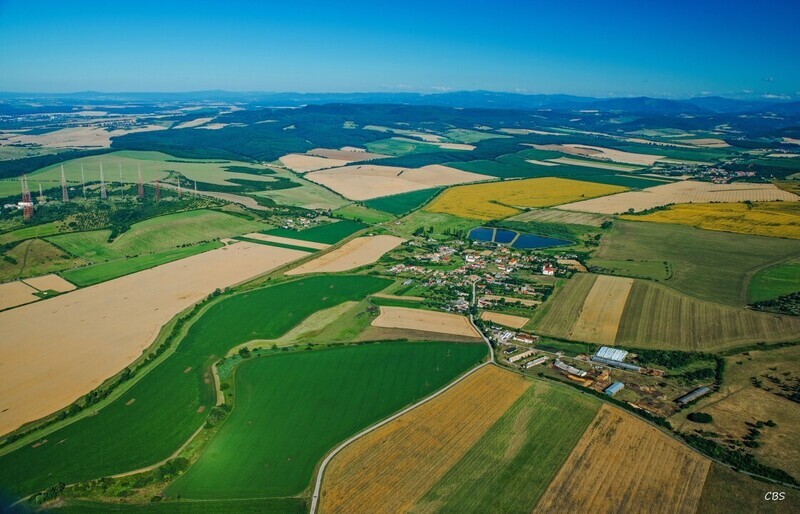 Uzovska-Panica-2016-8