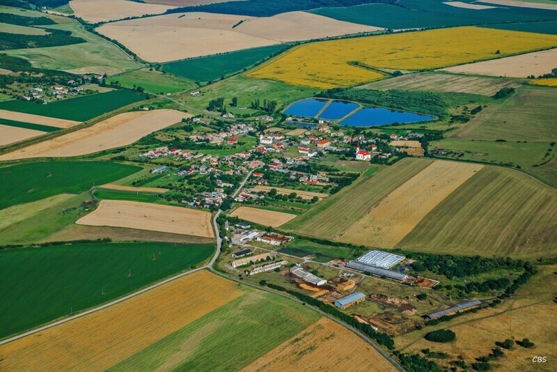 Uzovska-Panica-2016-7