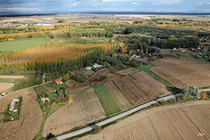 Dedina-Mladeze-2013-23