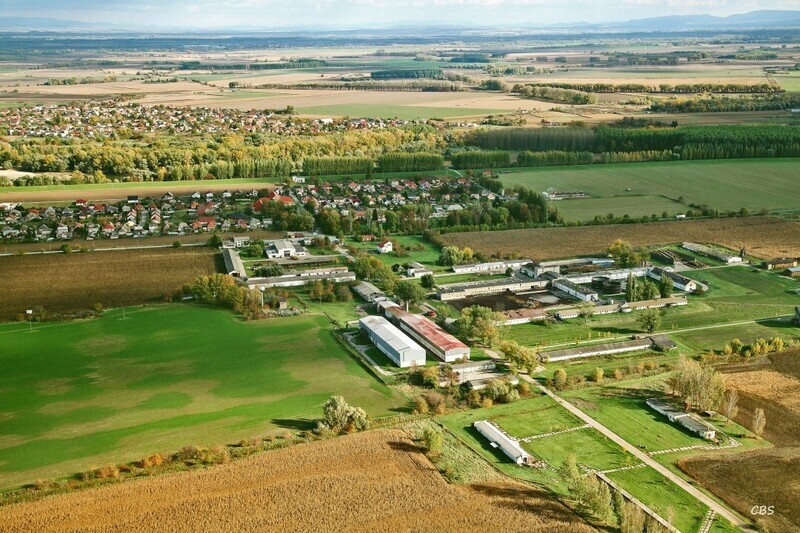 Dedina-Mladeze-2013-4