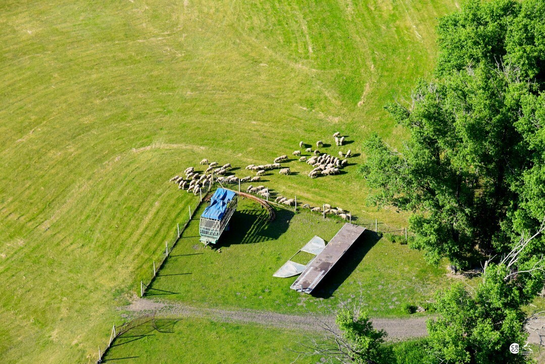 Bodzianske-luky-2018-16