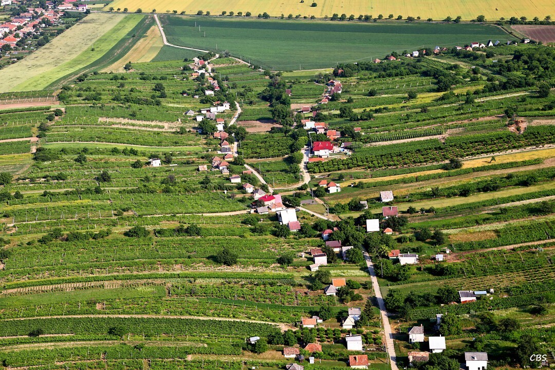 Batorove-Kosihy-2013-3