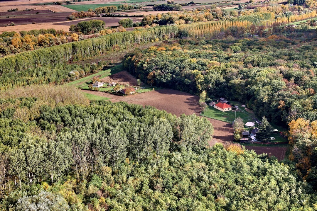 Dedina-Mladeze-2013-24